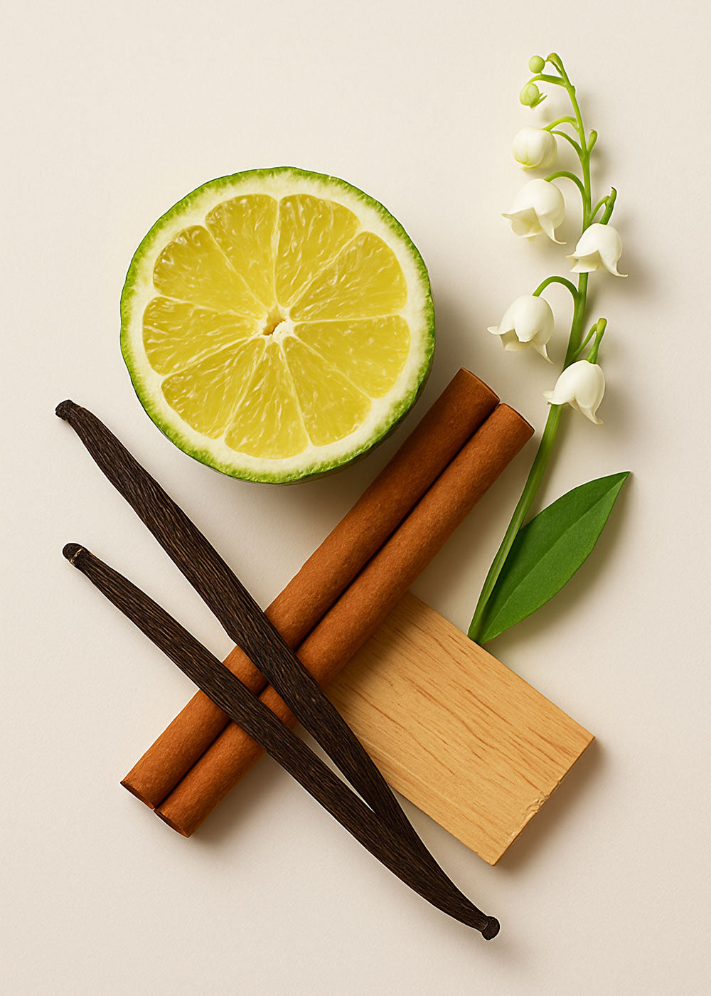 Oeillade - RP Parfums