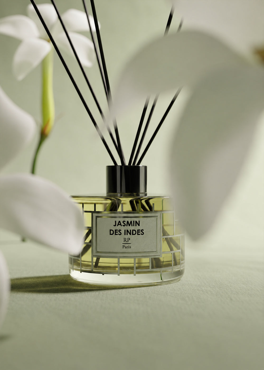 Jasmin des Indes