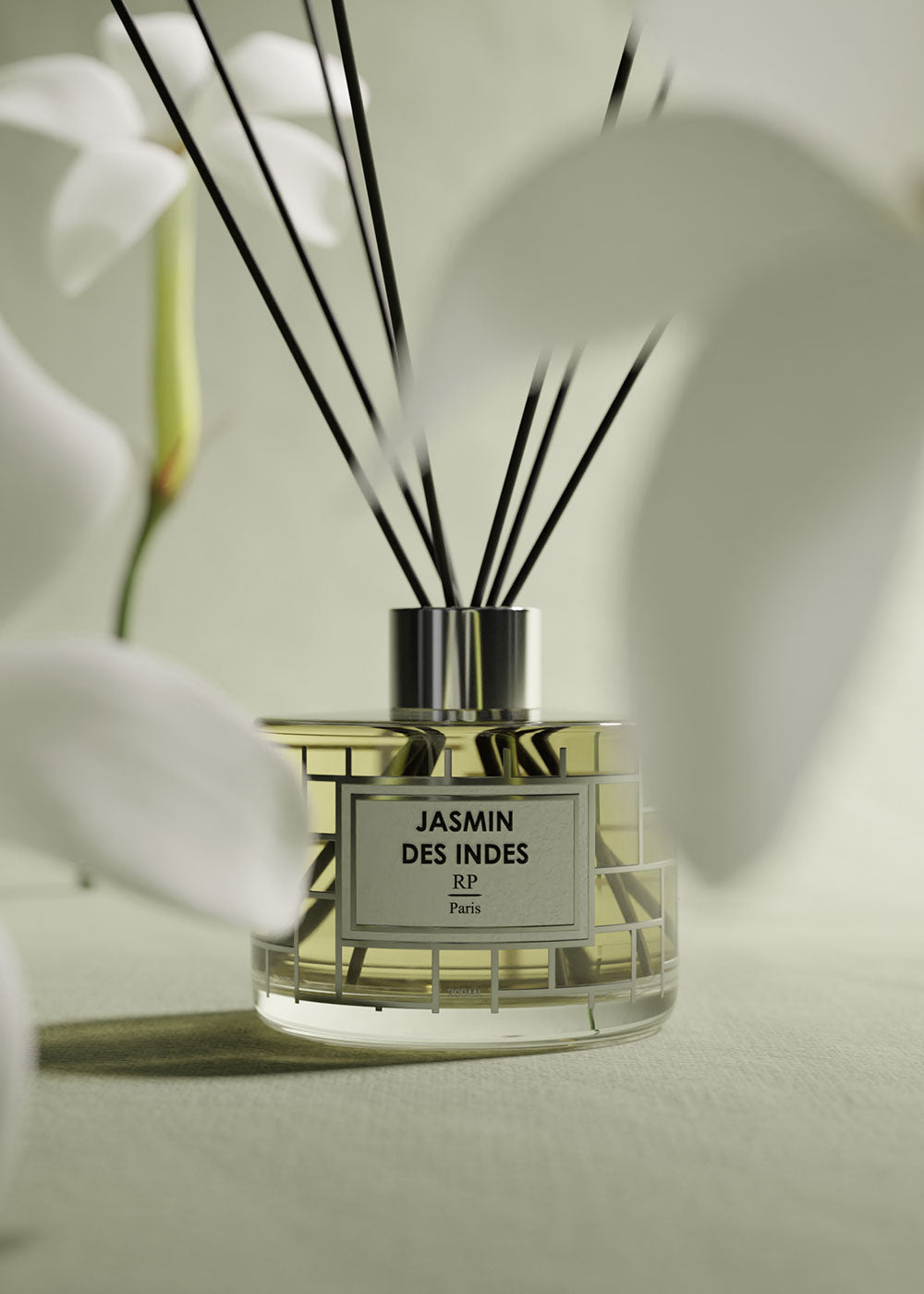 Jasmin des Indes